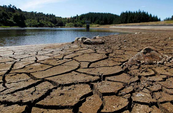 New_Zealand_Drought__systems@deccanmail