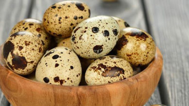 quails egg
