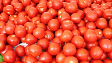 tomato price hike