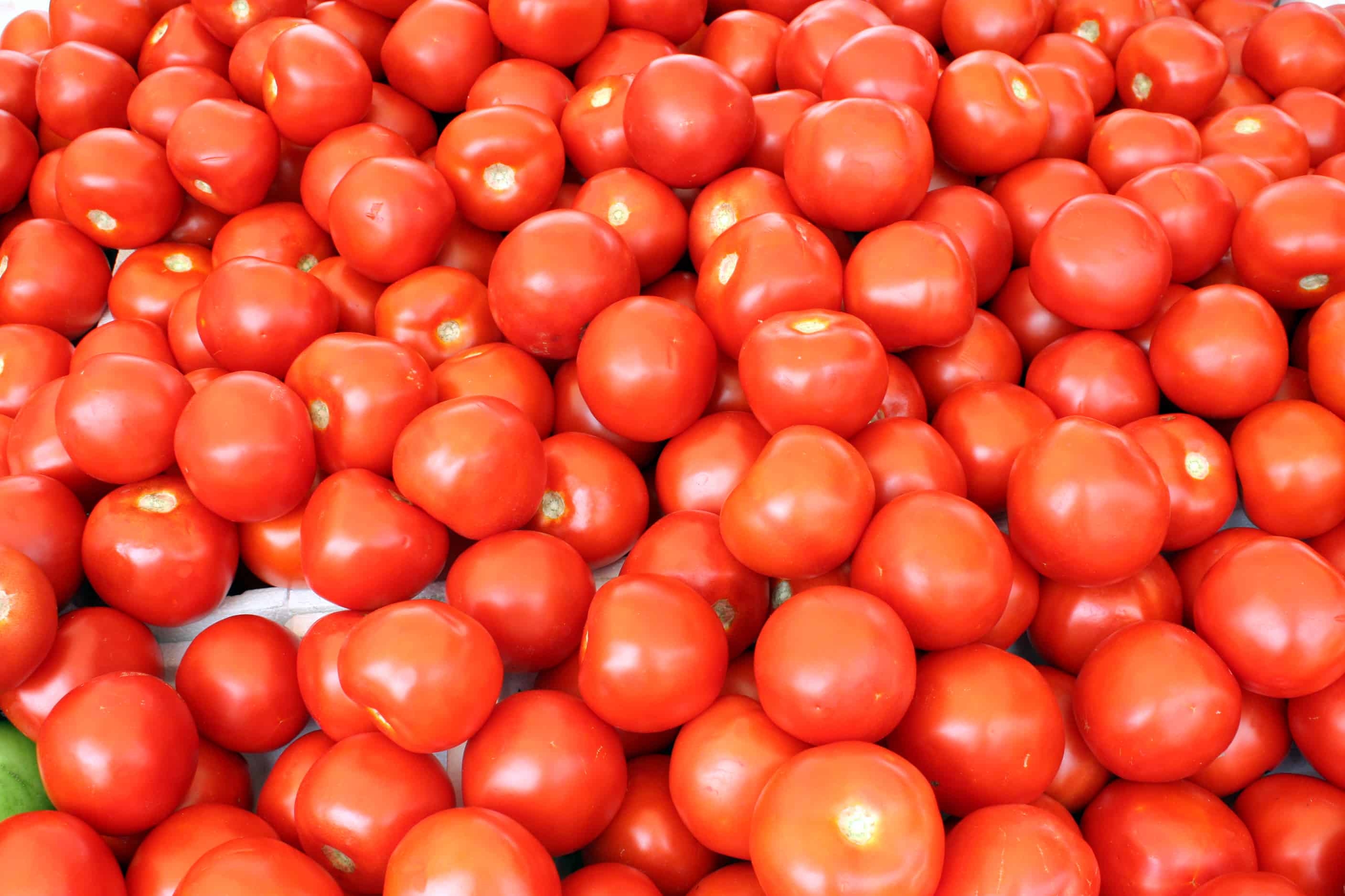 tomato price hike