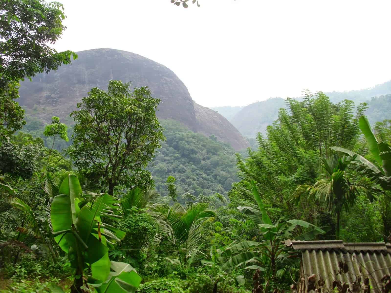 kattathippara
