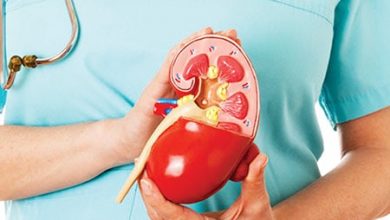 kidney stone- kidney- new study