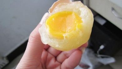 china fake egg news