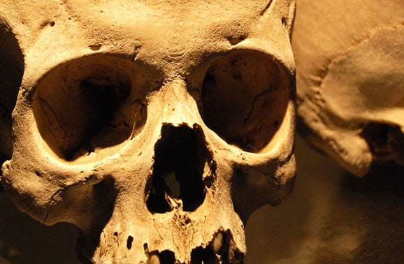 skeleton