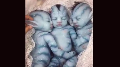 avatar babies- dolls