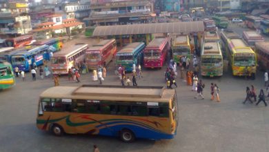 bus