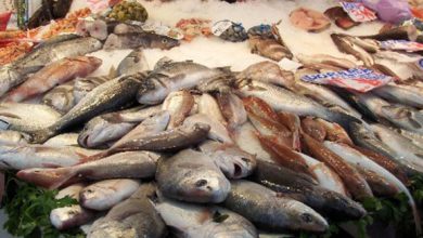dorado-at-Valencia-fish-market