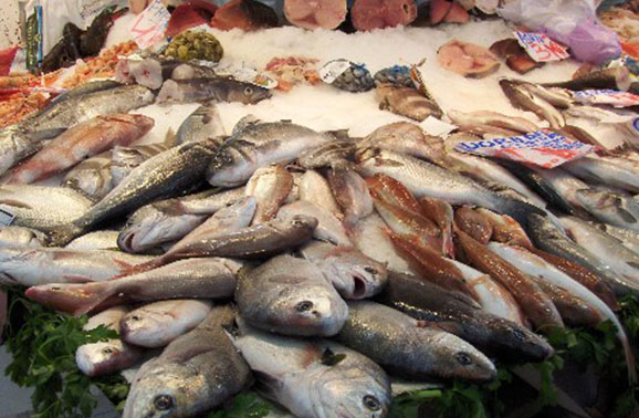 dorado-at-Valencia-fish-market
