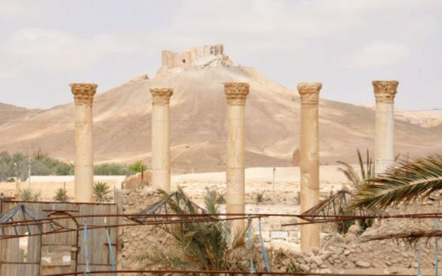 palmira