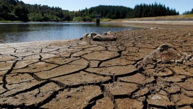 New_Zealand_Drought__systems@deccanmail