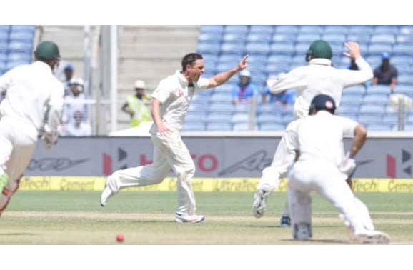 cricket