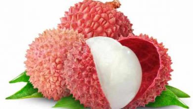 litchi fruit