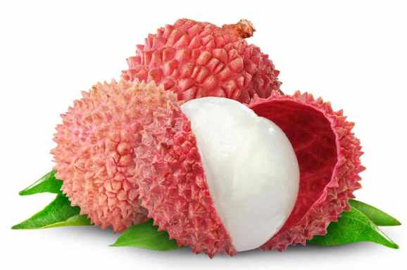 litchi fruit