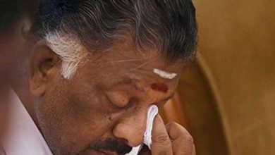 panneerselvam