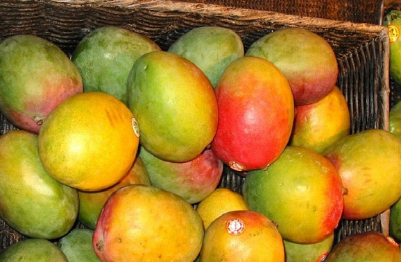 mango