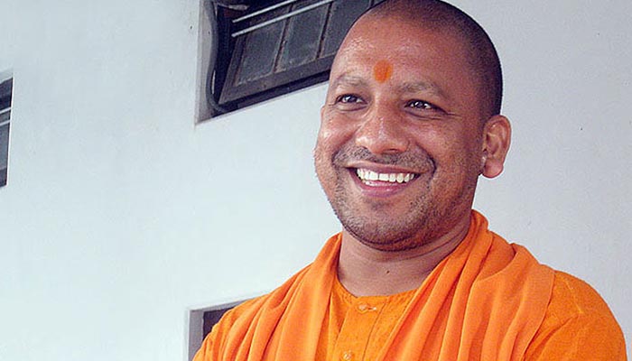 yogi