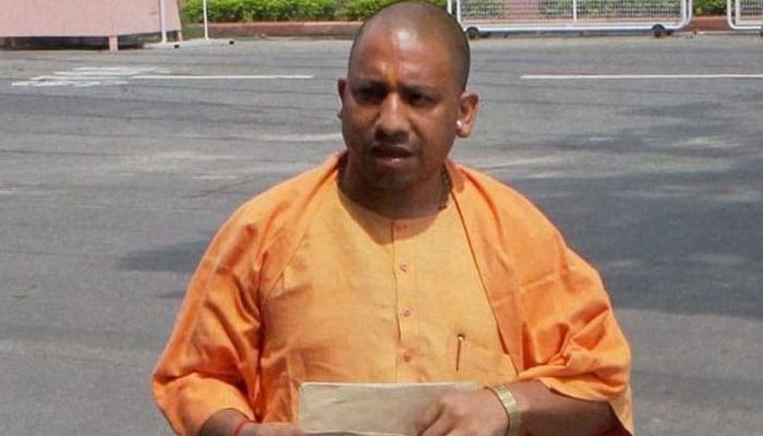 yogi