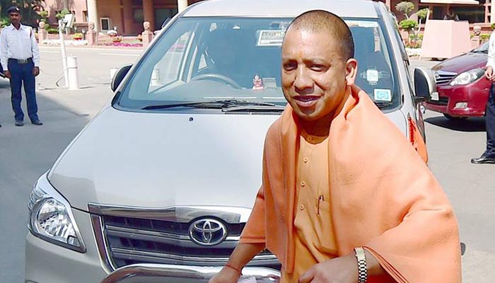 yogi