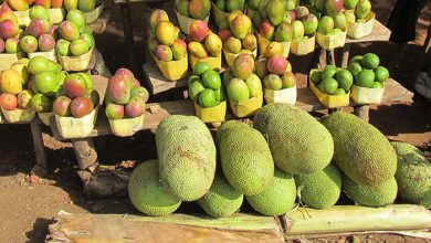 Jackfruit-mangoes