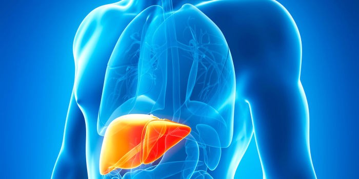 Liver DISEASE