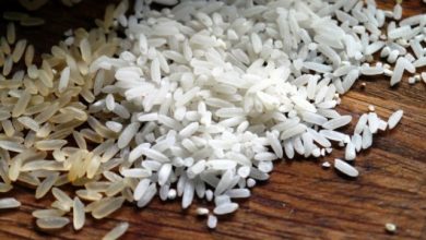 Plastic Rice