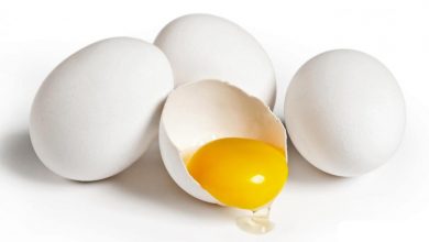eggs-