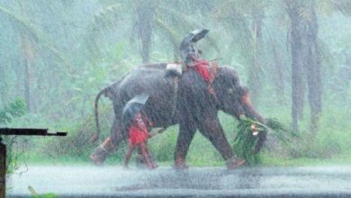 Rain kerala