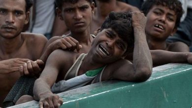 rohingya