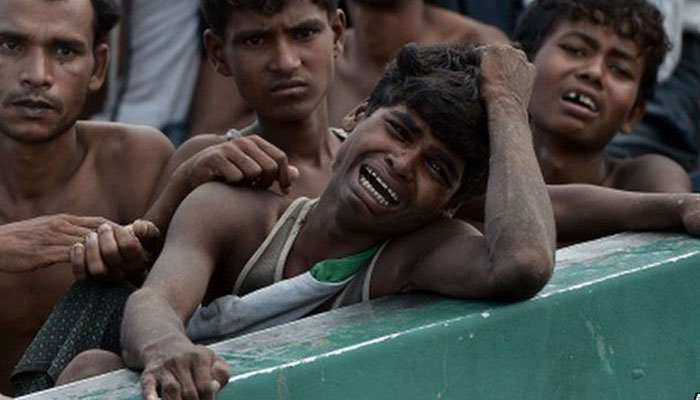 rohingya