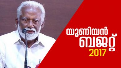 Kummanam001