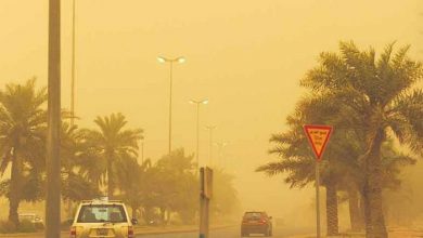 DUST WIND GULF REGION