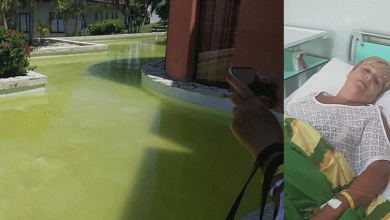 grandmother-ill-swimming-hotels-green-pool