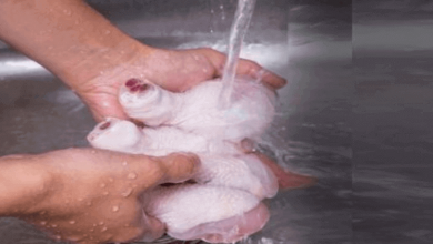 washing chicken