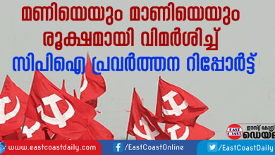 cpi-report-against-mani-and-maani