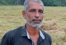 vayalkkili
