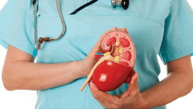 cat kidney surgery