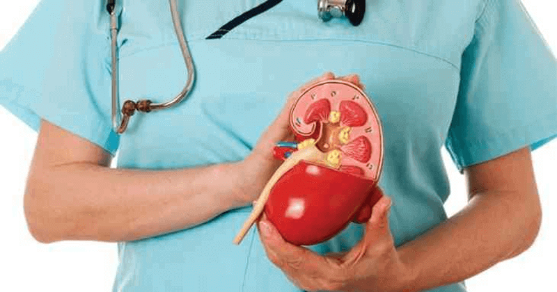 cat kidney surgery