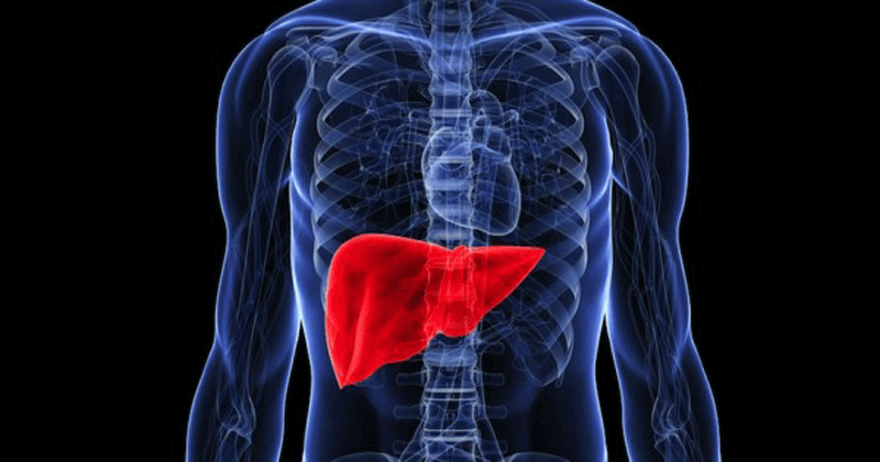 LIVER