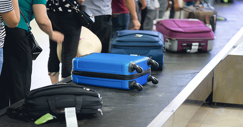 luggage roberry