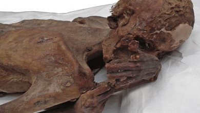 5000 year old mummy holds this in its hand