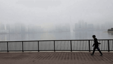 Fog wraps parts of UAE