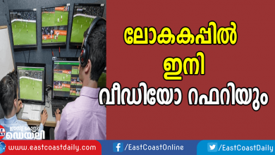 video referee in world cup