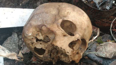 human skull found perumbavoor