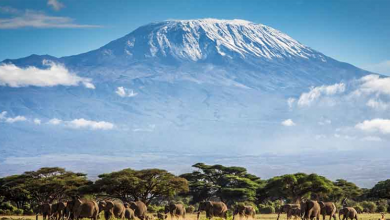 Mount Kilimanjaro travelogue