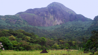 agasthyarkoodam