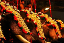 trissur pooram
