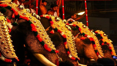 trissur pooram