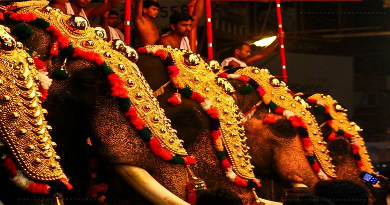 trissur pooram