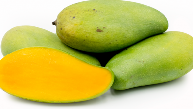 mango good for health