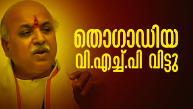 pravin togadia